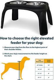 Dishes Feeders And Fountains 177789 Elevated Dog Cat Food Water Bowls Dishes Stand Raised 12 Inch Feeder For P Raised Dog Bowls Dog Feeding Station Dog Feeder
