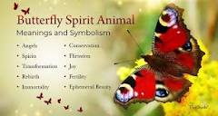 Butterfly Meaning & Symbolism & the Butterfly Spirit Animal