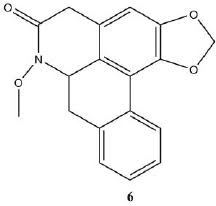 Image result for Artabotrys monteiroae