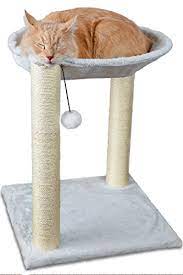 Give your cat or kitten the perfect place to nap, scratch, and play with the petmaker cat hammock and scratching post. Cat Hammock Scratcher Activity Center Scratching Post Lounger 41cm X 41cm X 51cm Buy Online In Angola At Angola Desertcart Com Productid 51087893