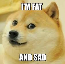 Easily add text to images or memes. Meme Creator Funny I M Fat And Sad Meme Generator At Memecreator Org