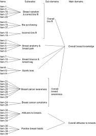 Frontiers | Breast Education Improves Adolescent Girls Breast Knowledge,  Attitudes to Breasts and Engagement With Positive Breast Habits