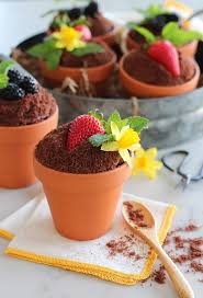 Spring Flower Pot Cakes Recipe In 2020 Pot Cakes Flower Pot Cake Spring Desserts