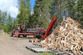 Check spelling or type a new query. Firewood Processor Should You Buy One