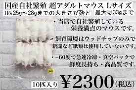 冷凍国産 アダルトマウスＬサイズ 10匹入り