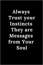 Slow down & clear your mind Amazon Com Always Trust Your Instincts They Are Messages From Your Soul Notebook Cute Gift 6 X 9 120 College Ruled Page Journal Notebook Diary Composition Book 9781679165313 Thinker Notebook Books