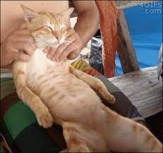 Spa Imagem Gif Find On Gifer