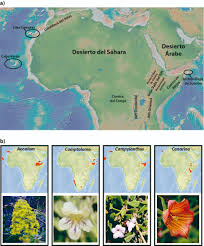 Los océanos y continentes son los. A Accidentes Geograficos Nombrados En El Texto Y De Interes En La Download Scientific Diagram