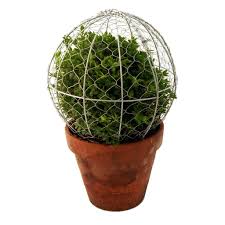 Topiary Frame Ball From The Potting Shed Garden Tools Topiary Boxwood Bush Trim Topiary