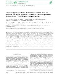 Image result for Dichilus reflexus