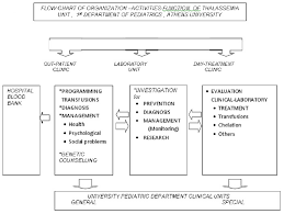 The Initial Flow Chart Of The Organization And Function Of