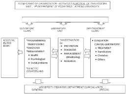 the initial flow chart of the organization and function of