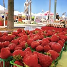 Join us for a reimagined presentation of the newport flower show. Newport Beach Farmer Mark