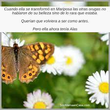 Para Reflexionar Mariposas Reflexiones Pensamientos Positivo Imagenes Mariposas Reflexiones