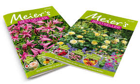 Garden center meier, avenue de longueville, colombier, suisse 46.9651614 6.865663199999972 garden center meier piscines & spas. Gartencenter Meier Media Concept Schweiz
