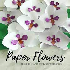 Paper Flower Template Paper Orchid Template Flower Template Paper Flower Backdrop Giant Paper Flower Large Paper In 2021 Paper Flower Template Flower Template Paper Flowers