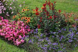 Some perennial flowers bloom from late spring to early autumn, which means your garden will be lit the long list of gorgeous flowering perennials doesn't end here, of course. 45 Best Summer Flowers Beautiful Flowers That Bloom All Summer