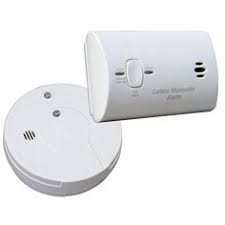 Nest carbon monoxide alarm customers have complained about false alarms. Margherita Virgil Jezyja Profile Pinterest