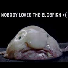 Hahaha Blobfish Blobfish Deep Sea Creatures Weird Sea Creatures