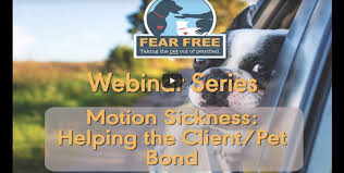 The art & value of oa screening using fear free principles. Webinars Fear Free Pets