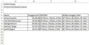 Logo cinta di excel : Cara Menghitung Umur Di Excel Dengan Rumus Umur