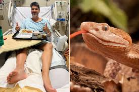 Image result for Snake Bite