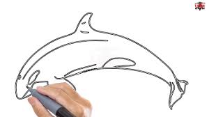 In this drawing lesson we are going to learn how to draw a killer whale (orca) for kids.and learn how to color using steadler luna colored pencilsintro musi. How To Draw A Killer Whale Easy Step By Step Drawing Tutorials For Kids Ucidraw Youtube