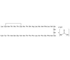 Image result for Pramlintide