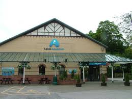 Image result for the lakes aquarium