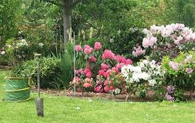 Pin By Jo Husby On Home Garden Tours Small Garden Garden