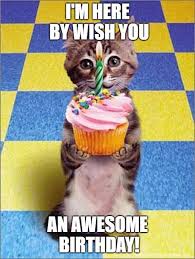 31 Funniest Cat Birthday Meme Birthday Meme Therefore in order to make the day absolutely special, humorous, hilarious and jocular, we have got some of the most funny and best happy birthday meme for your friend, brother, sister or anyone whom you wish to make delighted.