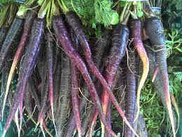 All About The Purple Carrot History And Nutrition