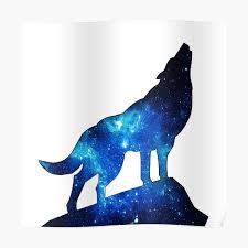 Find the perfect wolf picture from over 2,000 of the best wolf images. Galaxy Howling Wolf Posters Redbubble