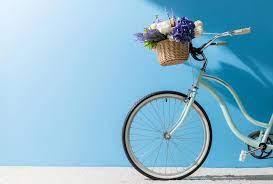 Check spelling or type a new query. Front Wheel Of Bicycle With Flowers In Basket In Front Of Blue Wall Free Stock Photo And Image