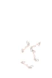 Transparent Cum Png Download Free Png Imagessexiezpix Web Porn
