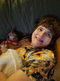 Sphynx cat Harry's first photos with owner