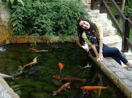 Lago Com Peixes Picture Of Pousada Teto Doce Penedo Tripadvisor