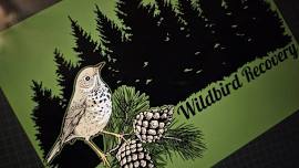 15th Annual Wildbird Recovery Fall Migration Festival
