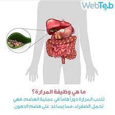 pin by fofo on health health movie posters poster