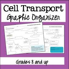 Biology Diffusion And Osmosis Worksheet Answer Key Pdf Cell Transport Graphic Organizer Distance Learning Cell Transport Teaching Middle School Science Graphic Organizers