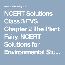 Ncert Solutions Class 3 Evs Chapter 2 The Plant Fairy Ncert Solutions For Environmental Studies Ncert Books Solutions Environmental Studies Chapter