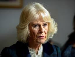 Ex-bodyguards van Wendy Van Wanten klappen uit de biecht: “Ze sprong door  hoepels voor prins Laurent, in de hoop dat hij officieel zou zeggen: jij  bent de ware”