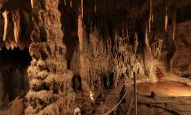 The grigore antipa national museum of natural history (romanian: Muzeul Antipa Poate Fi Vizitat Virtual