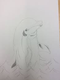 Les 3 Vandaag Heb Ik Mijn Dolfijn Op Groot Papier Verder Getekend Het Arceren Is Best Moeilijk En Dat Ga Ik Volgen Dieren Tekenen Beginner Schilderij Tekenen