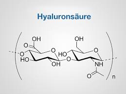 Hyaluronsaure Fur Haut Gelenke Mehr