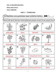 Sangat cocok untuk tanah bertekstur kasar yang memiliki kesuburan tanah relatif. Jawapan Modul 25 11 2020 Flip Ebook Pages 1 6 Anyflip Anyflip