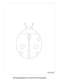 Did you know they have other names? Simple Ladybug Coloring Pages Free Animals Coloring Pages Kidadl