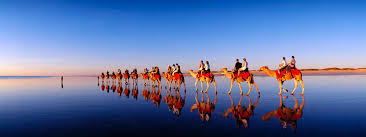 We had a much needed holiday in 2010 (we called it the great northern adventure) and one of the many things we did was go on a camel ride at cable. Camel Rides Broome Sunset Cable Beach Camel Rides All Tours
