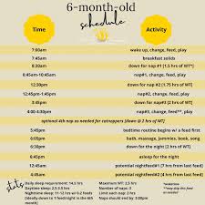 NEW & IMPROVED! UPDATED 2022! Sample Schedules for the First Year and  Beyond — Wee Bee Dreaming Pediatric Sleep Consulting