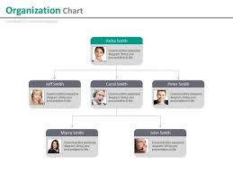 Company Employees Organizational Chart With Profiles